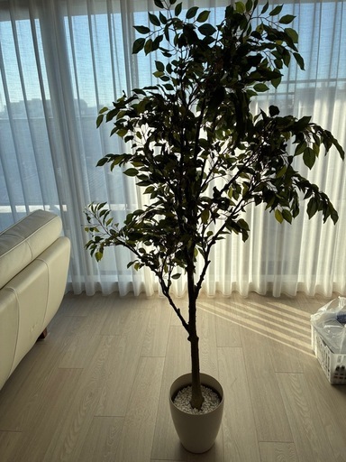 【受け渡し決定】フェイクグリーン　人工観葉植物　購入時18000円　