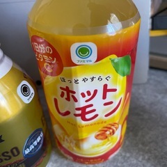 コーヒーとホットレモン　3本セットの画像