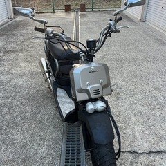 値下げ入ります！HONDA ZOOMERスペシャルエディション3000台限定カラー
の画像