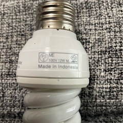 60形　玄関やトイレ　電球の画像