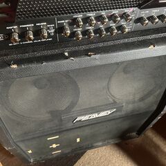 BUGERA＋PEAVEY　ヘッドとキャビネットの画像
