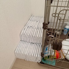 ペット　用品まとめ売りの画像