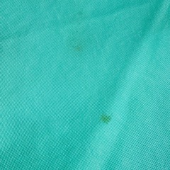 ベビージム の画像