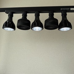 観葉植物　アイアンラック
の画像