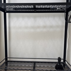 観葉植物　アイアンラック
の画像