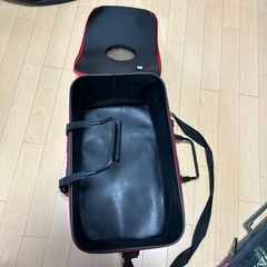 ワカサギ　釣り　バッカンの画像