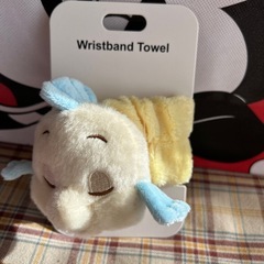 ディズニーストア福袋　4点セットの画像