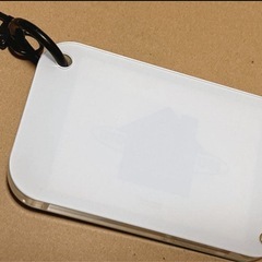 カリスマ×poro-pop　ぽろぽっぷ　本橋 依央利の画像