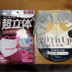 超立体マスク小さめの画像