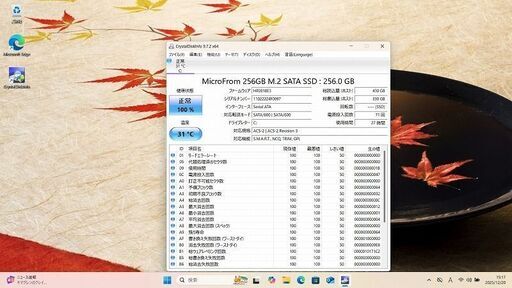 NEC Lavie VKT12H-1 Core i5 正常品