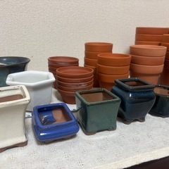 ★引き取り限定！もらってください★ミニ植木鉢いろいろまとめての画像