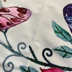 【使用１回】月齢フォトシート　フレーム付き　蝶と花の画像