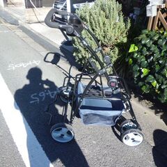 ★ペットカート【スイートハート･カート】取扱説明書付/FANTASY WORLD★の画像