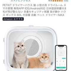 猫のドライヤーハウス　の画像