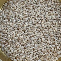 お世話になります@10kサラリーマン米の画像