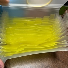 アコーディオンファイルの画像