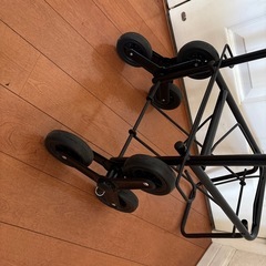 キャリーの画像