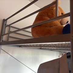 パイプベッド(シングル)13日引取りの画像