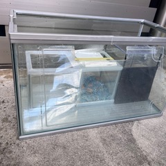 50cm水槽＋キューブ3個の画像