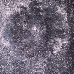 アウター80 可愛いの画像