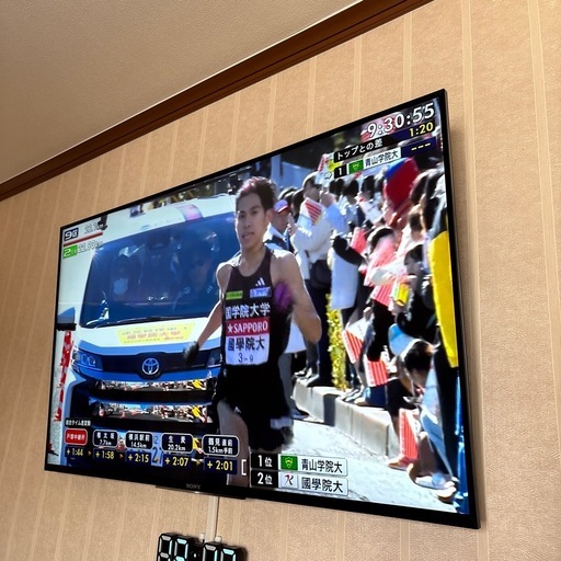 液晶テレビ49インチSONY製