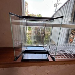 爬虫類用水槽の画像