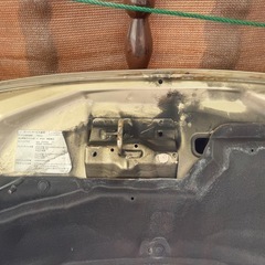 パレットボンネットの画像