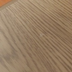 折りたたみテーブルもらってくださいの画像