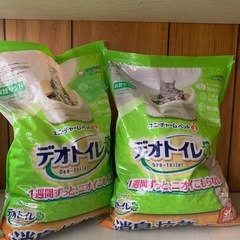 猫さまのおうちの画像