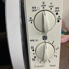 電子レンジ2016の画像