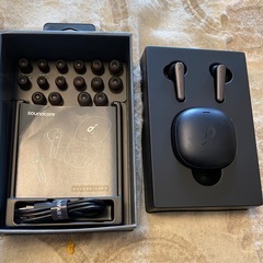 ジャンク品　アンカーワイヤレスイヤホン　イヤーチップの画像