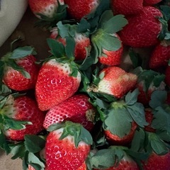 一時停止します💦【いちごさん】の画像