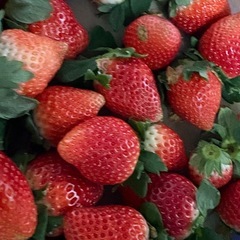 一時停止します💦【いちごさん】の画像