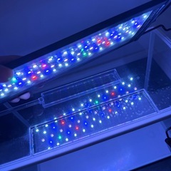 40cmスリム水槽🐟ライト🔦の画像