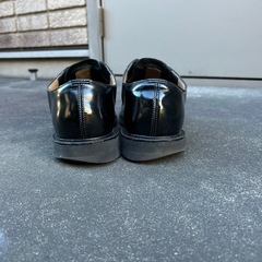 【明日まで掲載】プレーントゥビューティ&ユースの画像