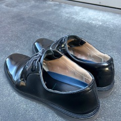 【明日まで掲載】プレーントゥビューティ&ユースの画像