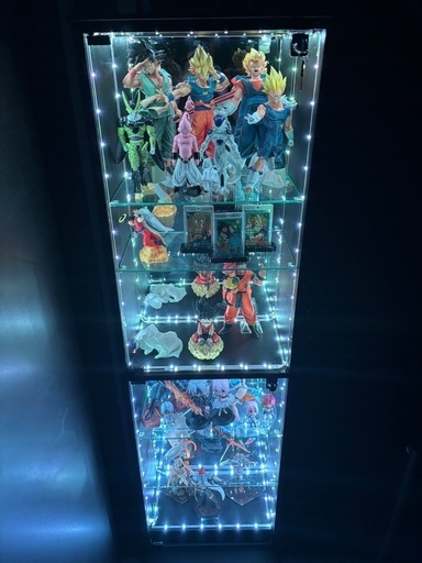 DIOコレクションケース