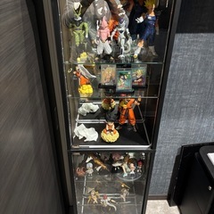 DIOコレクションケースの画像