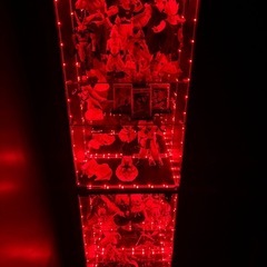 DIOコレクションケースの画像