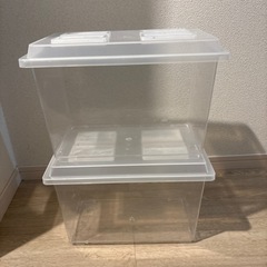 コバエシャッター  【大サイズ・２個！】　🤗