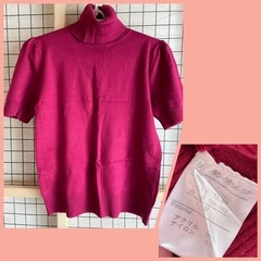 秋冬春の半袖 レディース  薄手ｾｰﾀｰの画像