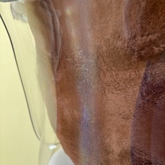 椅子　クリアの画像