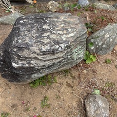 庭石　色々の画像