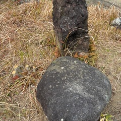 庭石　色々の画像