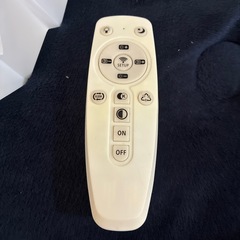 シーリングライトkogaの画像