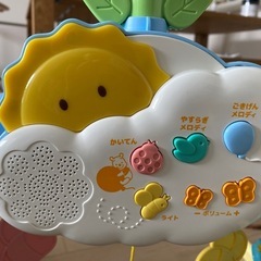 プーメリー　箱付きの画像