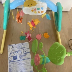 プーメリー　箱付きの画像