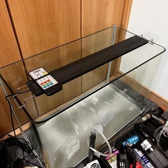 取引き中　
水槽　引退セット　※1月9日までの画像