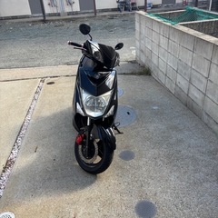 シグナス　3型　se44j   カスタムの画像