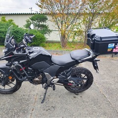 スズキ Vストローム250sx  